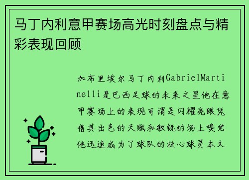 马丁内利意甲赛场高光时刻盘点与精彩表现回顾